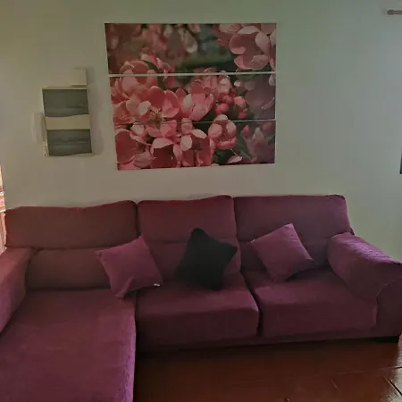 度假居 La Casa De Las Flores 塔科龙特