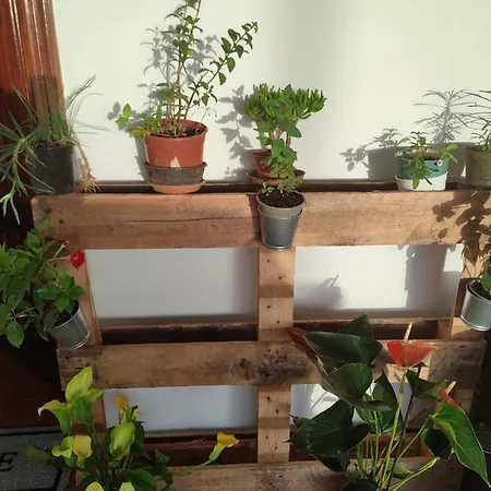 La Casa De Las Flores * טקורונטה