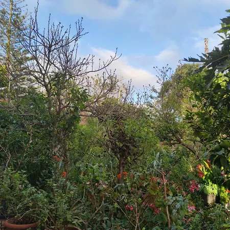 בית נופש La Casa De Las Flores
